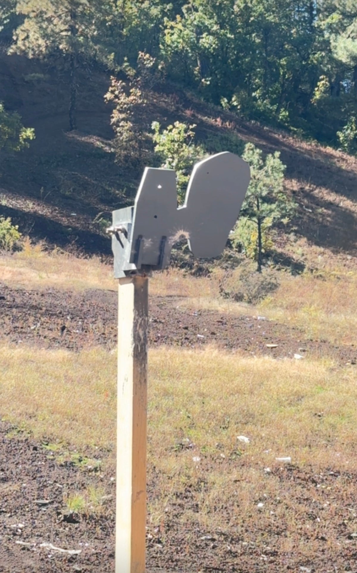 Mass Surveillance Camera